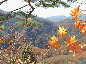 嵩溪镇天气预报更新通知